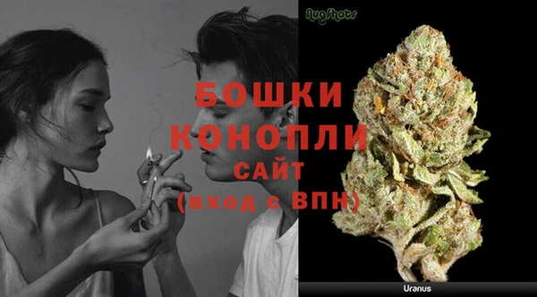крисы Липки