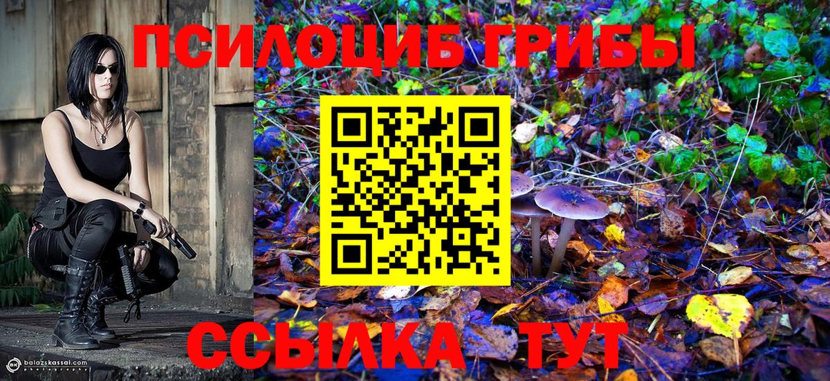 Мирный  Галлюциногенные грибы Magic Shrooms  купить   Вход с VPN 