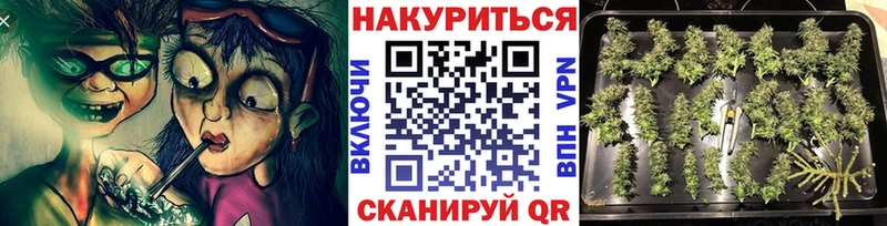купить сайты Мирный Бошки марихуана сатива